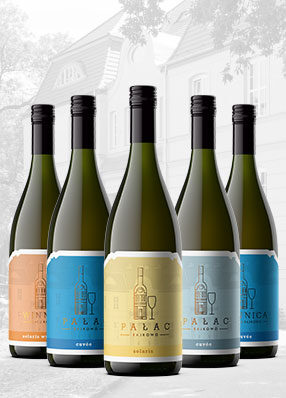 Winnica Pałacu Rajkowo